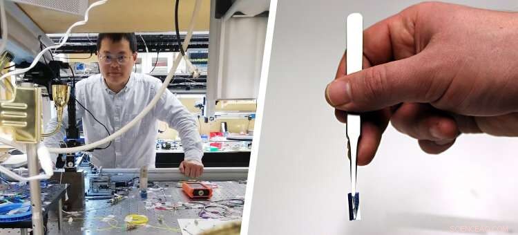 How Microcomb Line Widths Drive Ultra‑Precise On‑Chip Measurements