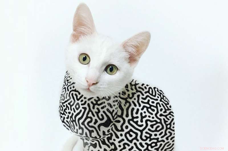 First Discovery of Multi-Atom Entanglement in LiHoF4 Quantum Phase Transition