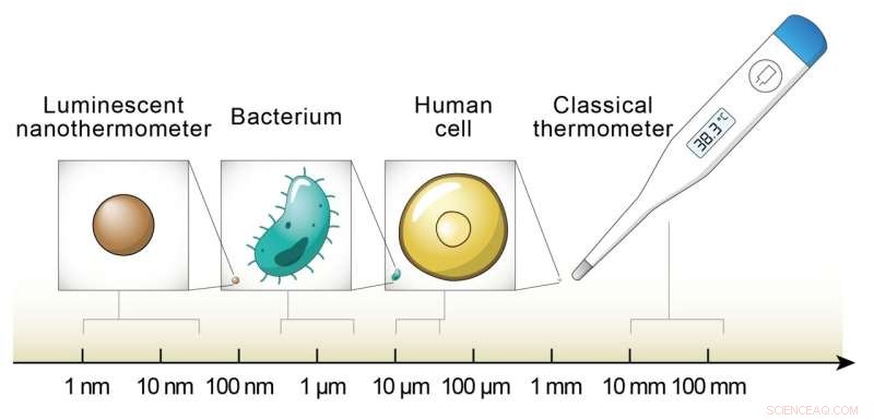 Precision Luminescence Thermometry: Dimensionality Reduction Simplifies Measurement