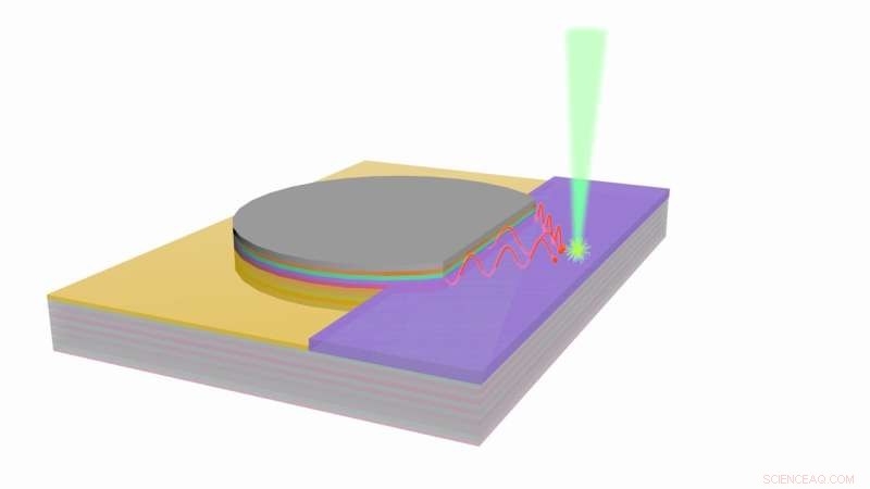 Plant‑Inspired Photodetector Achieves Record Efficiency Using Polaritons
