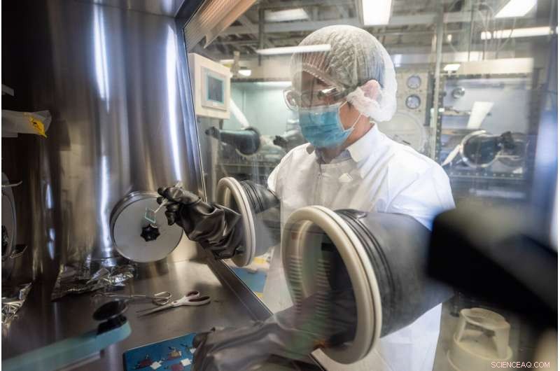 Plant‑Inspired Photodetector Achieves Record Efficiency Using Polaritons