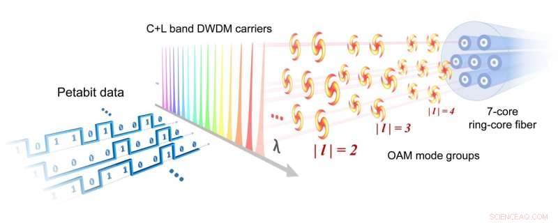China Achieves 1‑Pb/s Data Throughput Using Orbital Angular Momentum in Fiber Optics