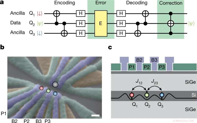 Silicon Qubit System Demonstrates Robust Error Correction
