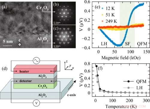 Antiferromagnetic Hybrid Structures Unlock Key Spintronic Functionality