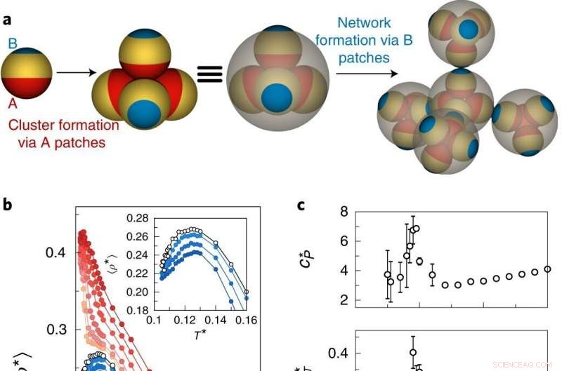 Groundbreaking Study Confirms Liquid‑Liquid Phase Separation in Water at Low Temperatures