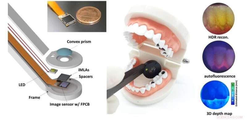 Innovative Ultrathin Dental Camera Mimicking Insect Eye for Superior Imaging