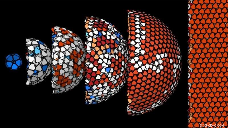 Cornell Research Illuminates How Confinement Shapes Vertex‑Truncated Tetrahedra Assembly