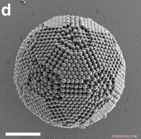 Cornell Research Illuminates How Confinement Shapes Vertex‑Truncated Tetrahedra Assembly
