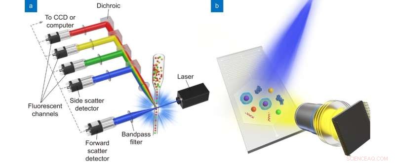 Microchip Imaging Cytometry: Affordable, User‑Friendly, and Accessible Lab Testing