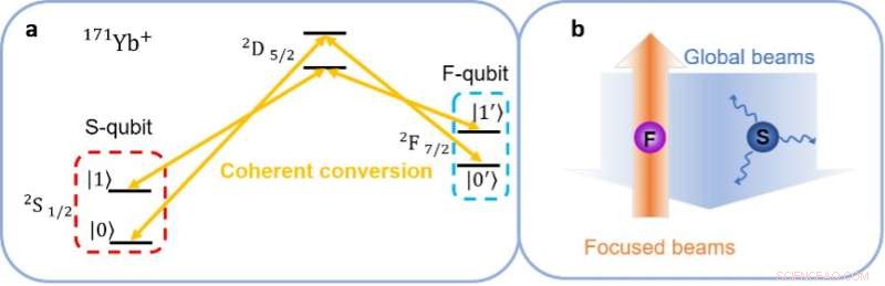Scientists Achieve Seamless Conversion Between Dual Qubit Types in a Single Yb-171 Ion