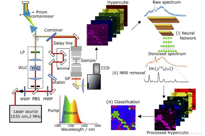 Enhanced Raman Microscopy: Faster, More Sensitive Imaging via Advanced Neural Networks