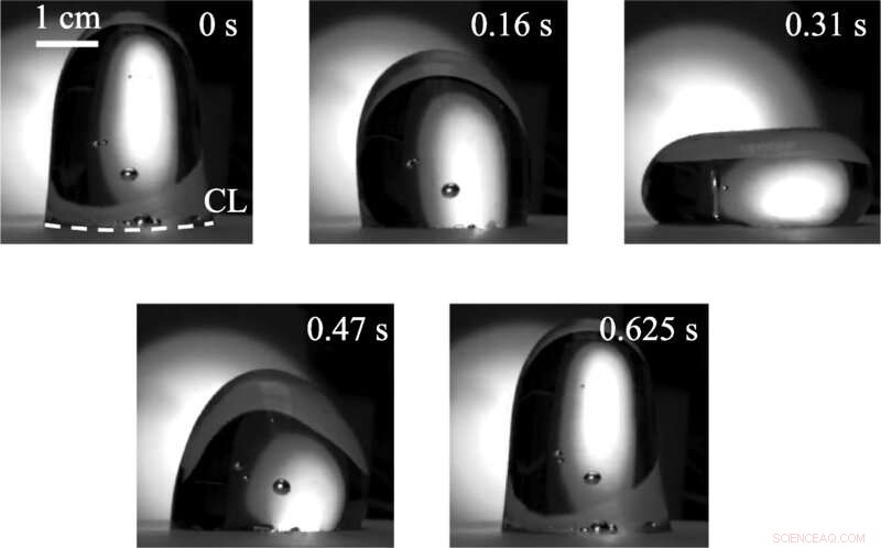 Spaceborne Droplet Study Confirms Late Professor’s Theoretical Predictions