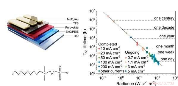 Perovskite LEDs Set New Lifetime Record with Advanced Dipolar Stabilizer