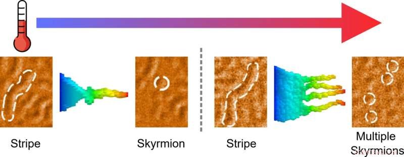 Designing Magnetic Particles for Next‑Gen Computing: A Skyrmion-Based Recipe