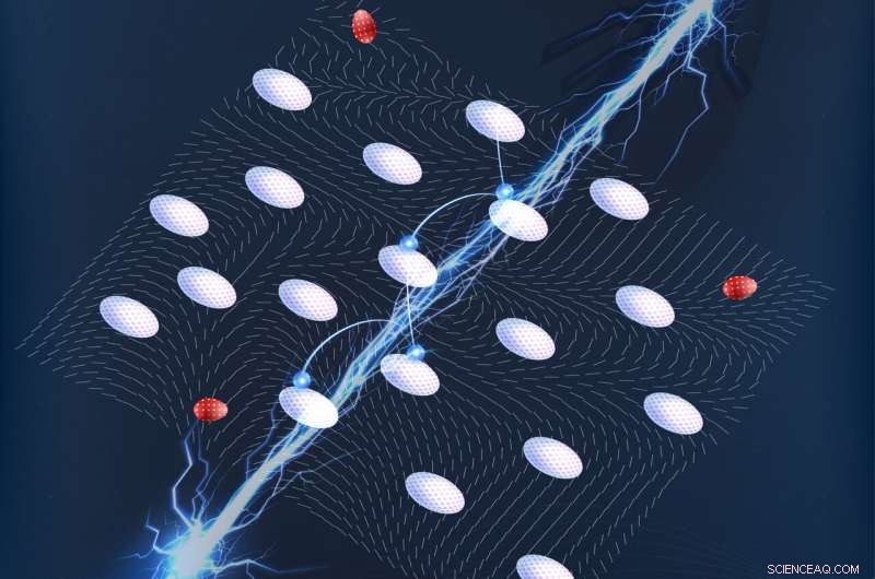 Discovering a Novel Disordered Quantum Wigner Solid in 2D Electron Systems