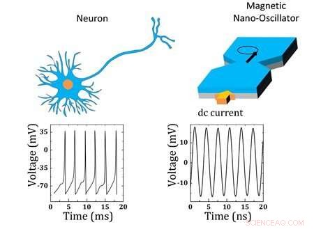 Researchers Investigate Brain‑Like Materials Using Quantum‑Material Magnetic Nano‑Oscillators