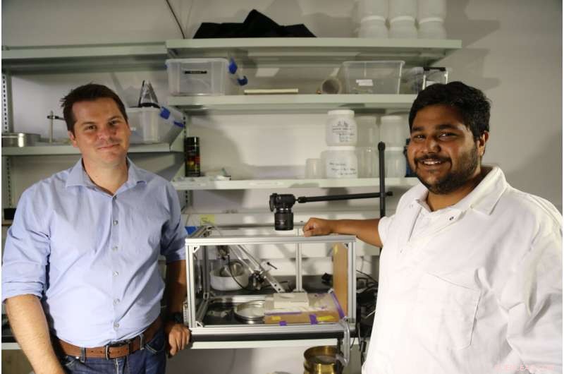 How Particle Movement Drives Erosion: The Role of Cohesion