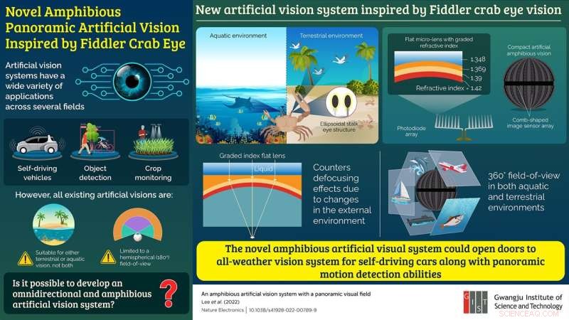 Inspired by Fiddler Crab Eyes, Researchers Create Versatile Panoramic Artificial Vision System