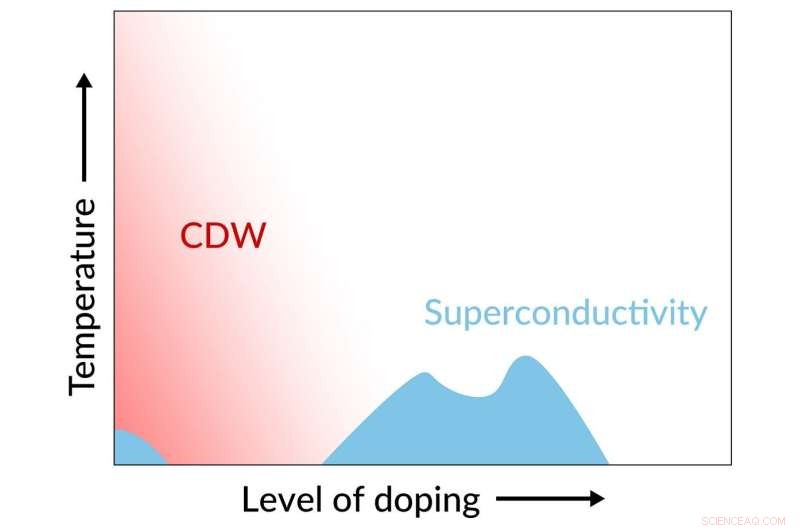 New Breakthrough in Nickel Oxide Superconductor Research