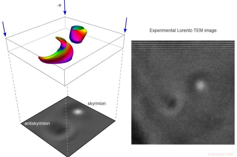 New Research Confirms Skyrmions and Antiskyrmions Coexist Across Temperature Ranges