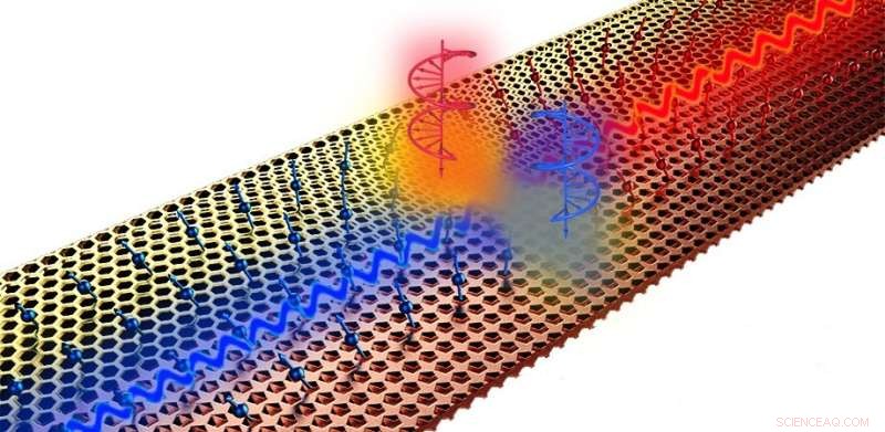 Harnessing Chiral Sources to Direct Energy Flow in Metamaterial Interface Waveguides
