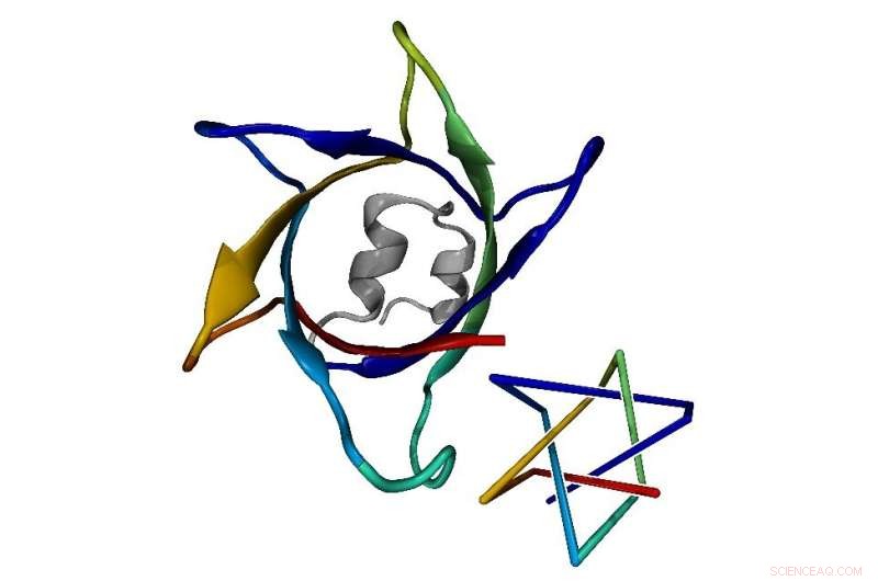 Scientists Use AI to Discover Record-Breaking Protein Knot