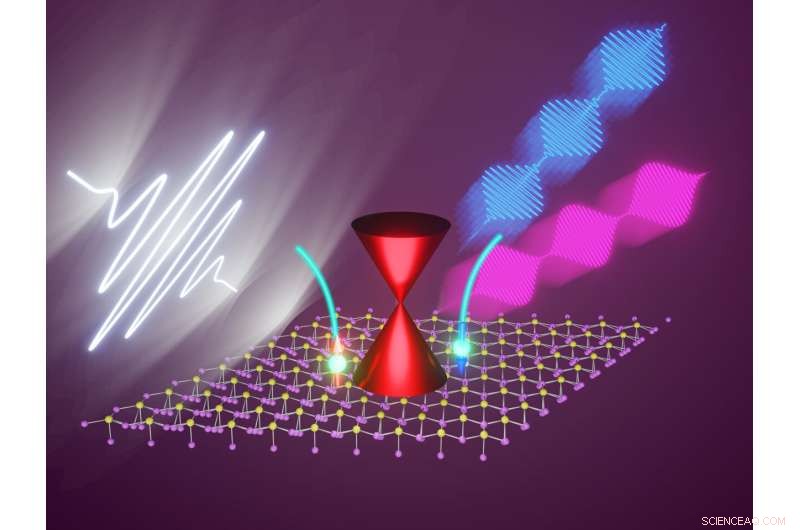 Coherent Spin Dynamics in Na3Bi: Light-Induced Electron Spin Separation
