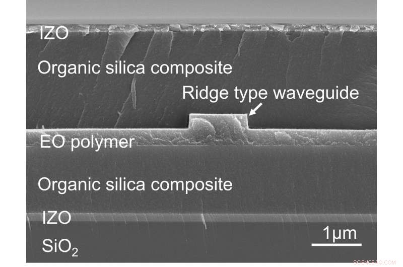 High‑Efficiency Visible‑Light Modulator with Organic Electro‑Optic Polymer