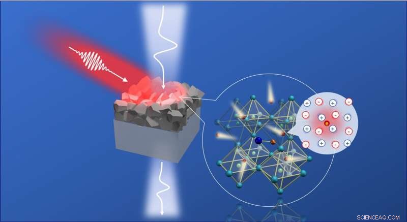 Photoinduced Large Polaron Transport Dynamics in Hybrid Lead Halide Perovskites