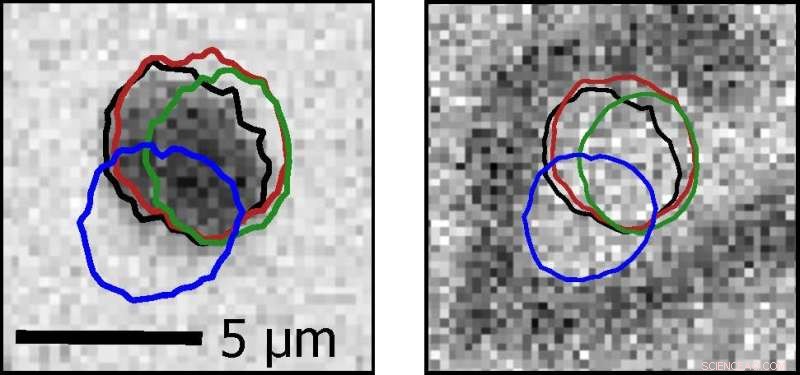 New Findings Reveal How Skyrmions Pin in Magnetic Thin Films