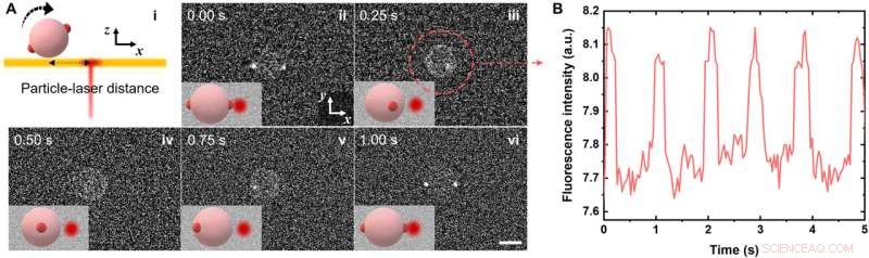 Universal Optothermal Rotors for Precise Light-Driven Micro- and Nanoparticle Rotation