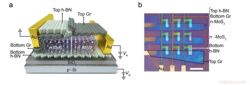 Photon‑Controlled Diode: Innovative Optoelectronic Device for Advanced Signal Processing