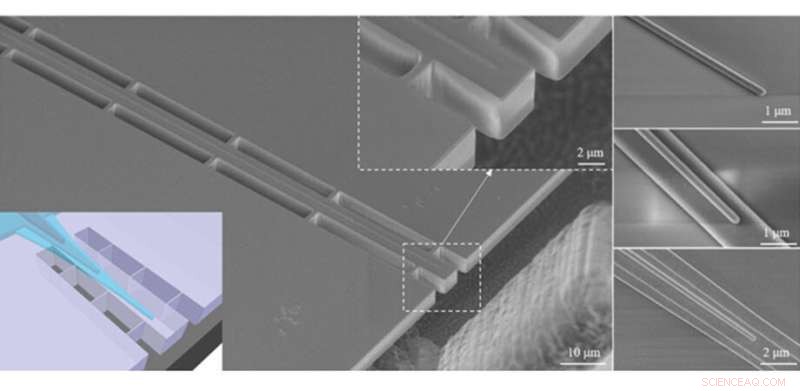 Ultrabroadband Edge Coupler Enhances Second Harmonic Generation Efficiency in Thin‑Film Lithium Niobate