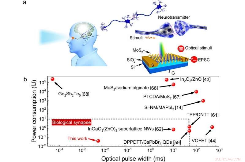 High‑Sensitivity, Energy‑Efficient Photonic Synapses for AI