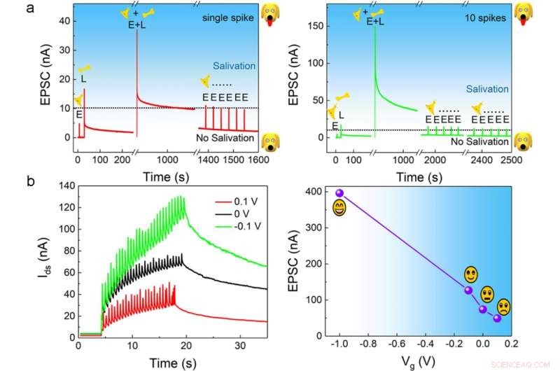 High‑Sensitivity, Energy‑Efficient Photonic Synapses for AI