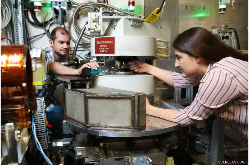 Physicists Probe the Enigmatic Neutron Lifetime