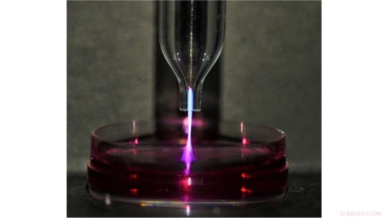 Optimizing Plasma Dosage for Future Cancer Therapies