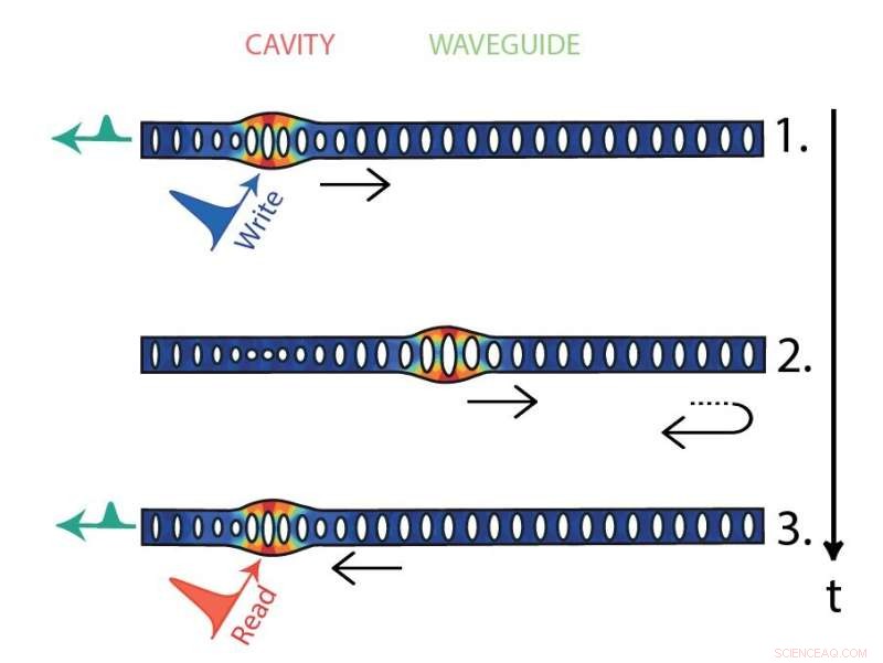 Controlling Non-Classical Mechanical States in Phononic Waveguides: Advanced Quantum State Manipulation