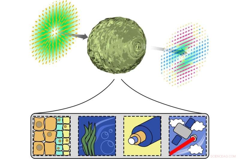 Light Can Stay Undistorted When Passing Through Complex Media