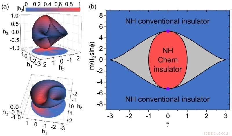 Unveiling a Hybrid Skin‑Topological Phenomenon Driven by Gain and Loss