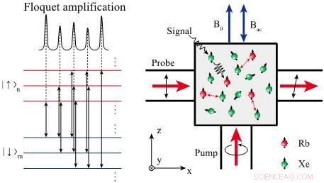 Quantum Amplification Expanded to Floquet Systems: Pioneering Advances in Signal Detection