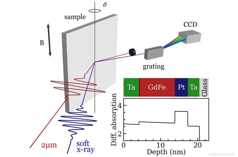 Probing Ultrafast Magnetization Dynamics with Time-Resolved T-MOKE