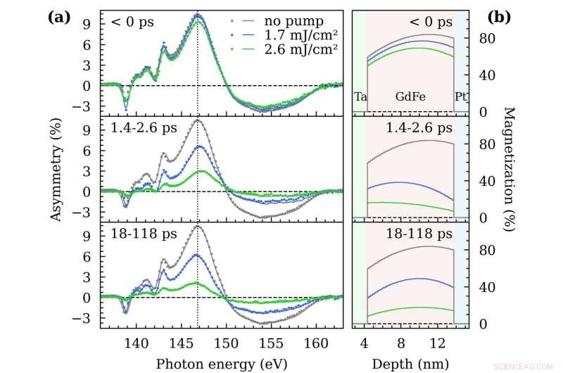 Probing Ultrafast Magnetization Dynamics with Time-Resolved T-MOKE
