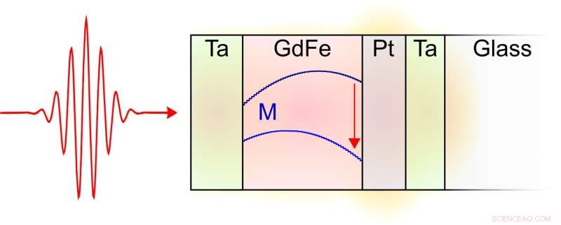 Probing Ultrafast Magnetization Dynamics with Time-Resolved T-MOKE