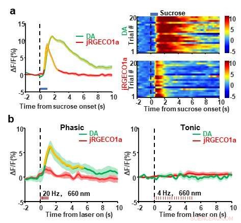 Advanced Fiber-Optic Photometry for Simultaneous Optogenetic Stimulation & Multi-Color Neuronal Recording