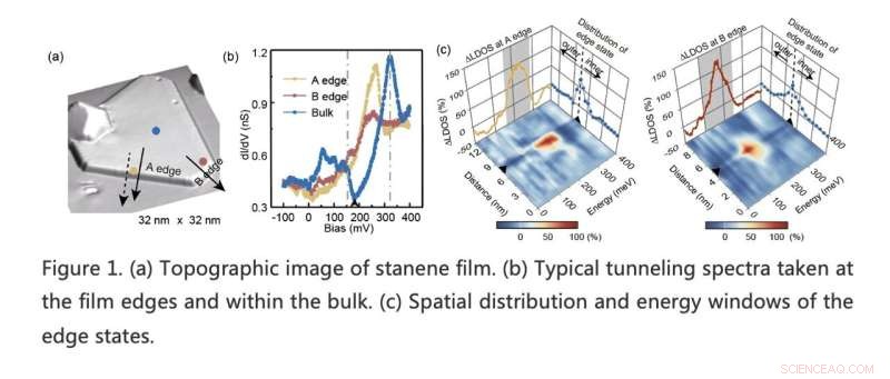 Stanene Films Reveal Coexisting Topological Edge States and Superconductivity