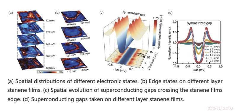 Stanene Films Reveal Coexisting Topological Edge States and Superconductivity