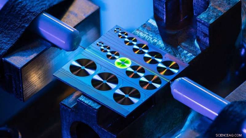 Commercial-Grade Photonic Integrated Erbium‑Doped Amplifiers Reach Full Market Performance