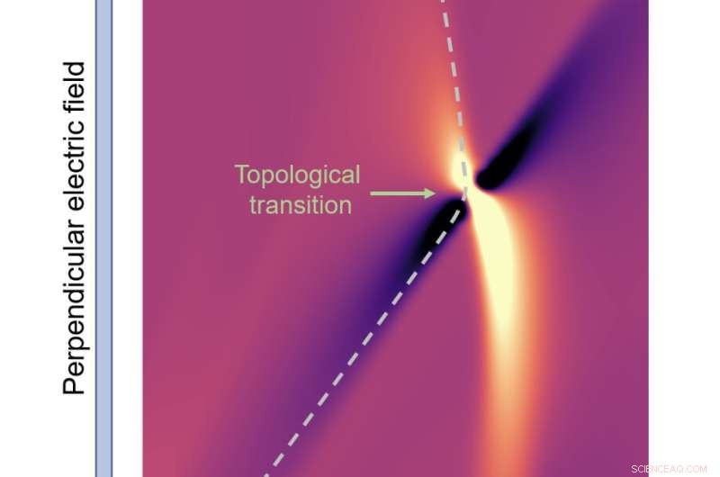 Direct Observation of a Topological Phase Transition via Sign Change in the Berry Curvature Dipole