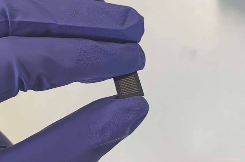 Oxford Unveils World’s First Ultra-Fast Photonic Processor Powered by Light Polarization